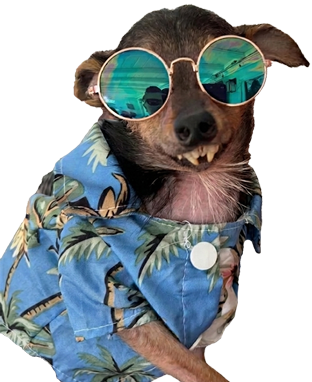Big Marv wearing a Hawaiian shirt and round sunglasses