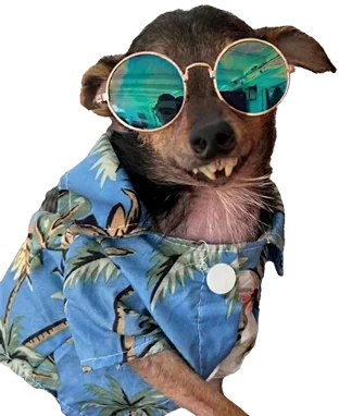 Big Marv wearing a Hawaiian shirt and round sunglasses