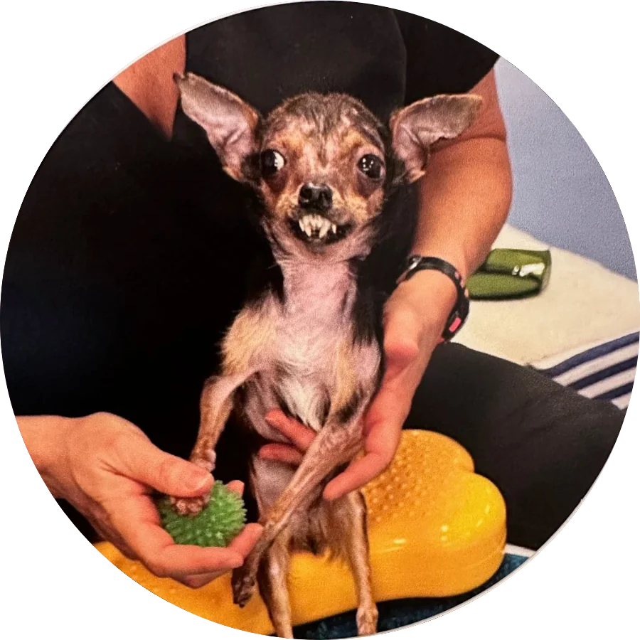 Big Marv during the care journey that inspired his legacy